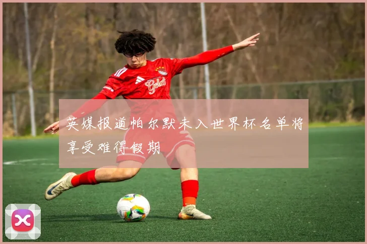 英媒报道帕尔默未入世界杯名单将享受难得假期