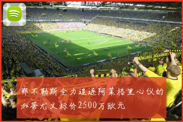 那不勒斯全力追逐阿莱格里心仪的加蒂尤文标价2500万欧元